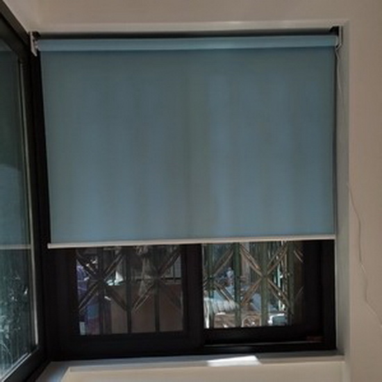 20220305- WiFi tuay Alexa smart roller blinds