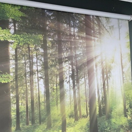 September 1, 2022 - Customizable forest printed roller blinds