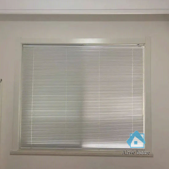 September 19nd, 2024 Custom Size window PVC blinds