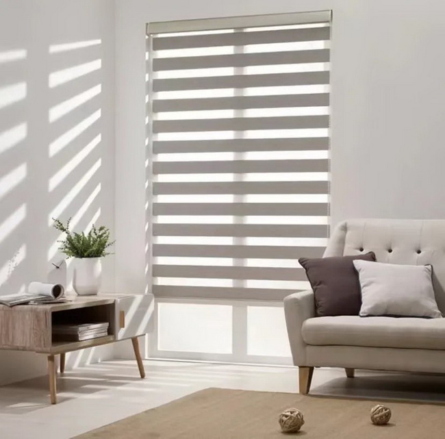 Zebra <a href=https://www.asmartdecor.com/product/electric-roller-blinds.html target='_blank'>roller blinds</a> (1).jpg