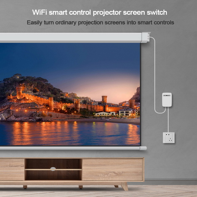 Projector Screen switch  (9).jpg