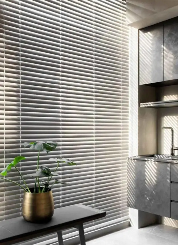 Vertical Blinds (1).png