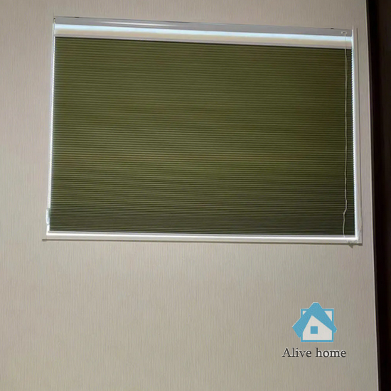 ALIVE HOME CURTAIN (248).png